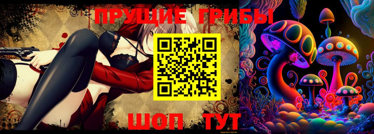 Галлюциногенные грибы GOLDEN TEACHER  Галлюциногенные грибы Cubensis  Балашов  Вход с VPN 